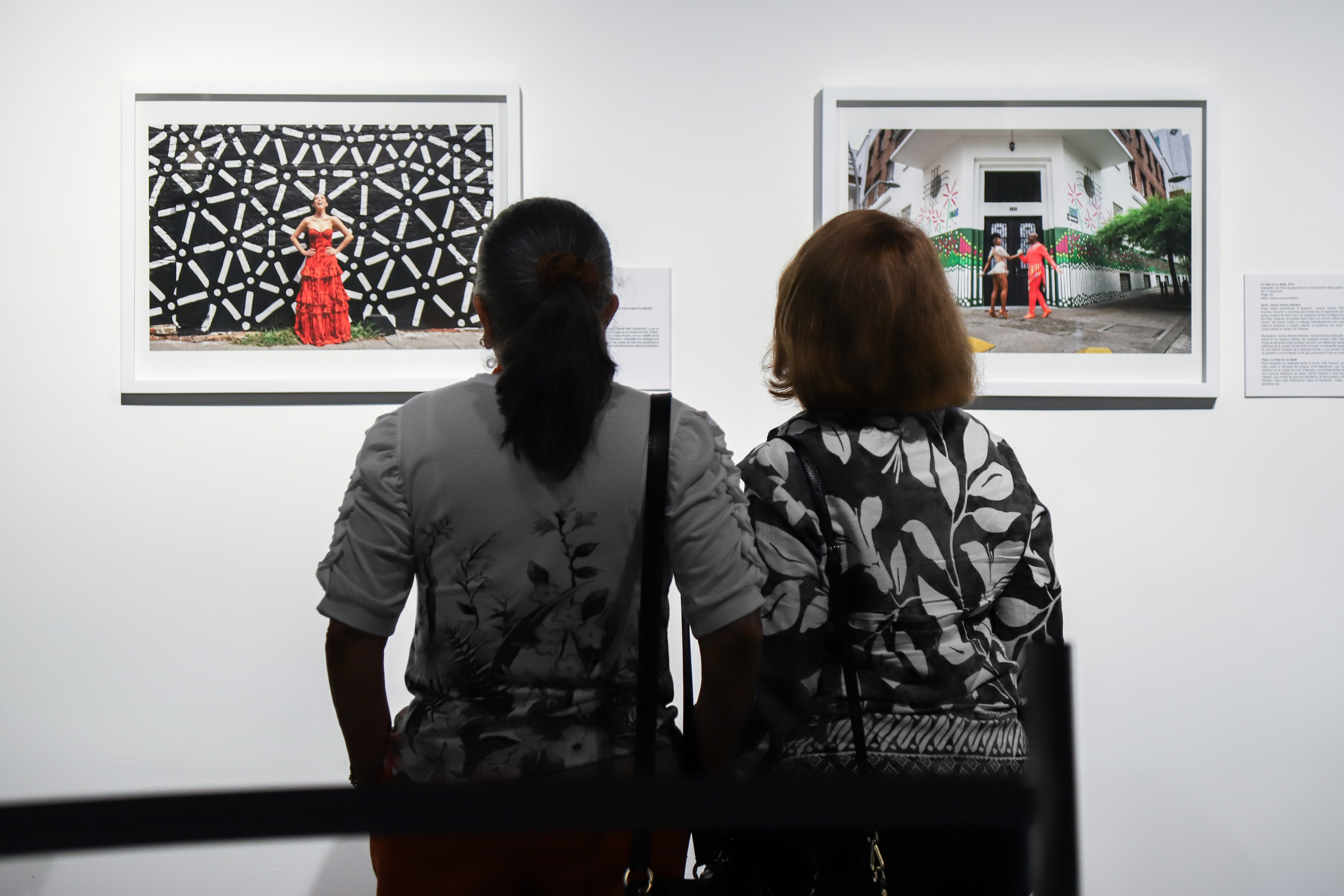 FLOW | DOMO Museo, exhibition photograph 70