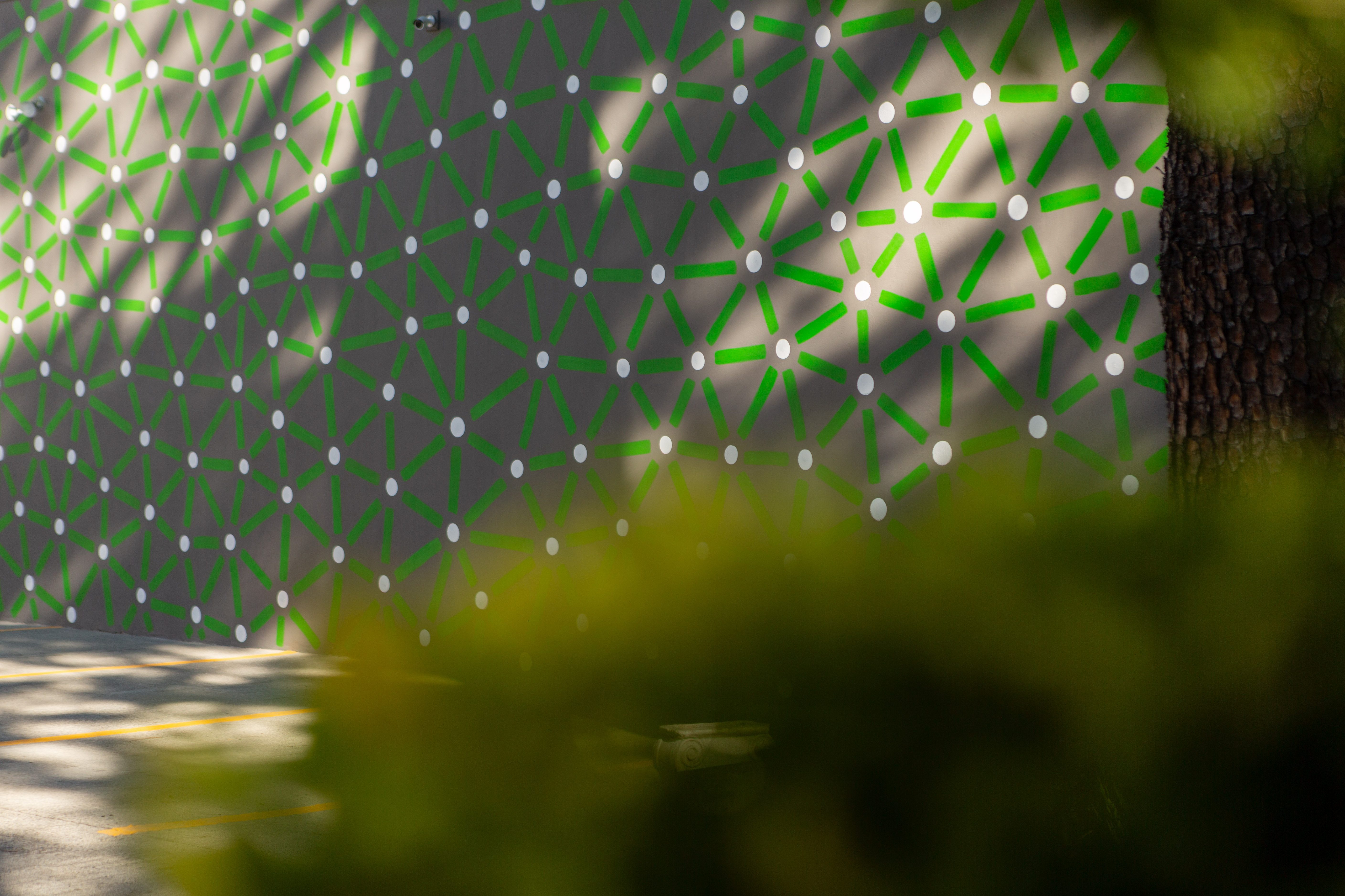 Roots: Green-and-white patterned courtyard wall viewed through blurred foliage.