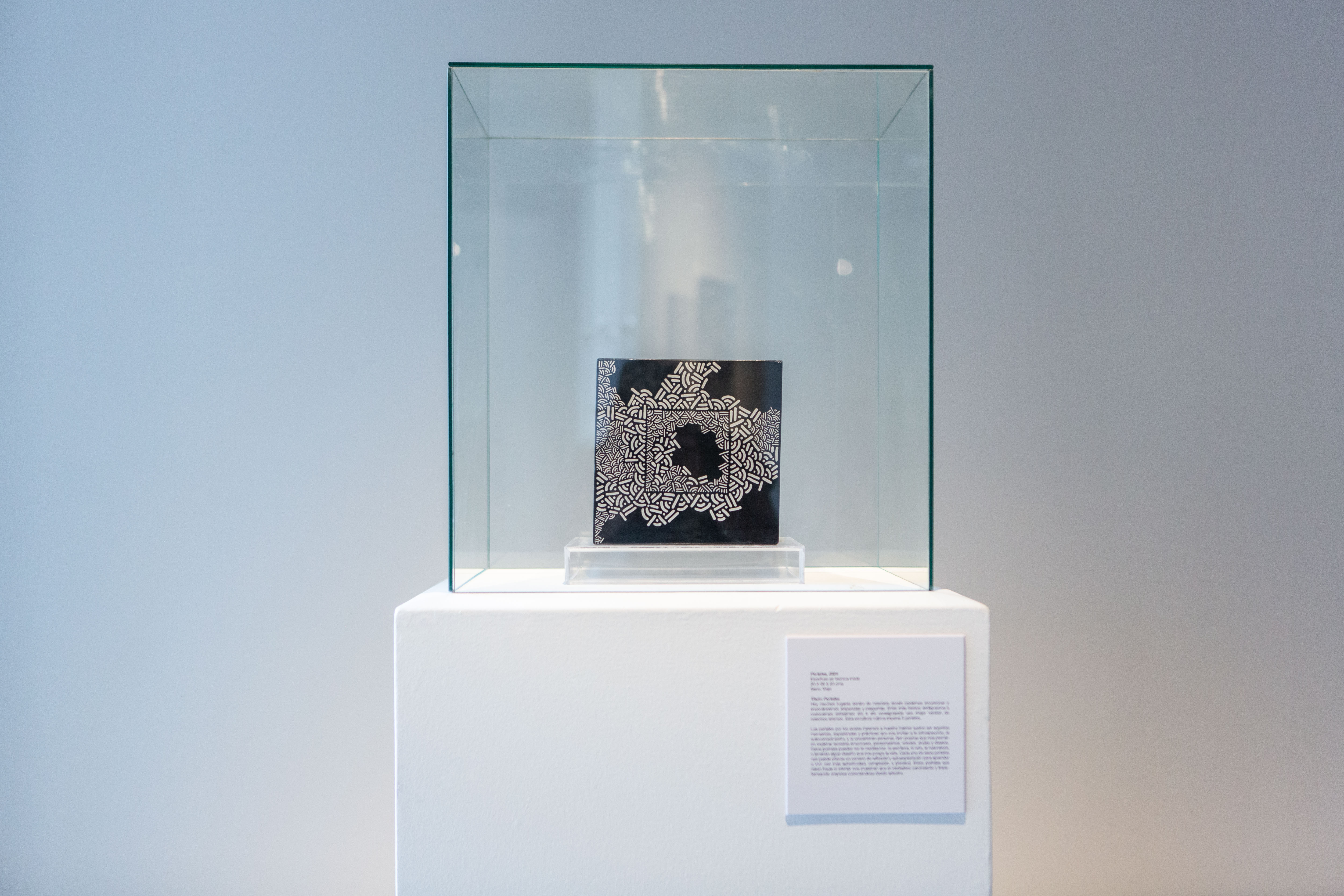 FLOW | DOMO Museo, exhibition photograph 41