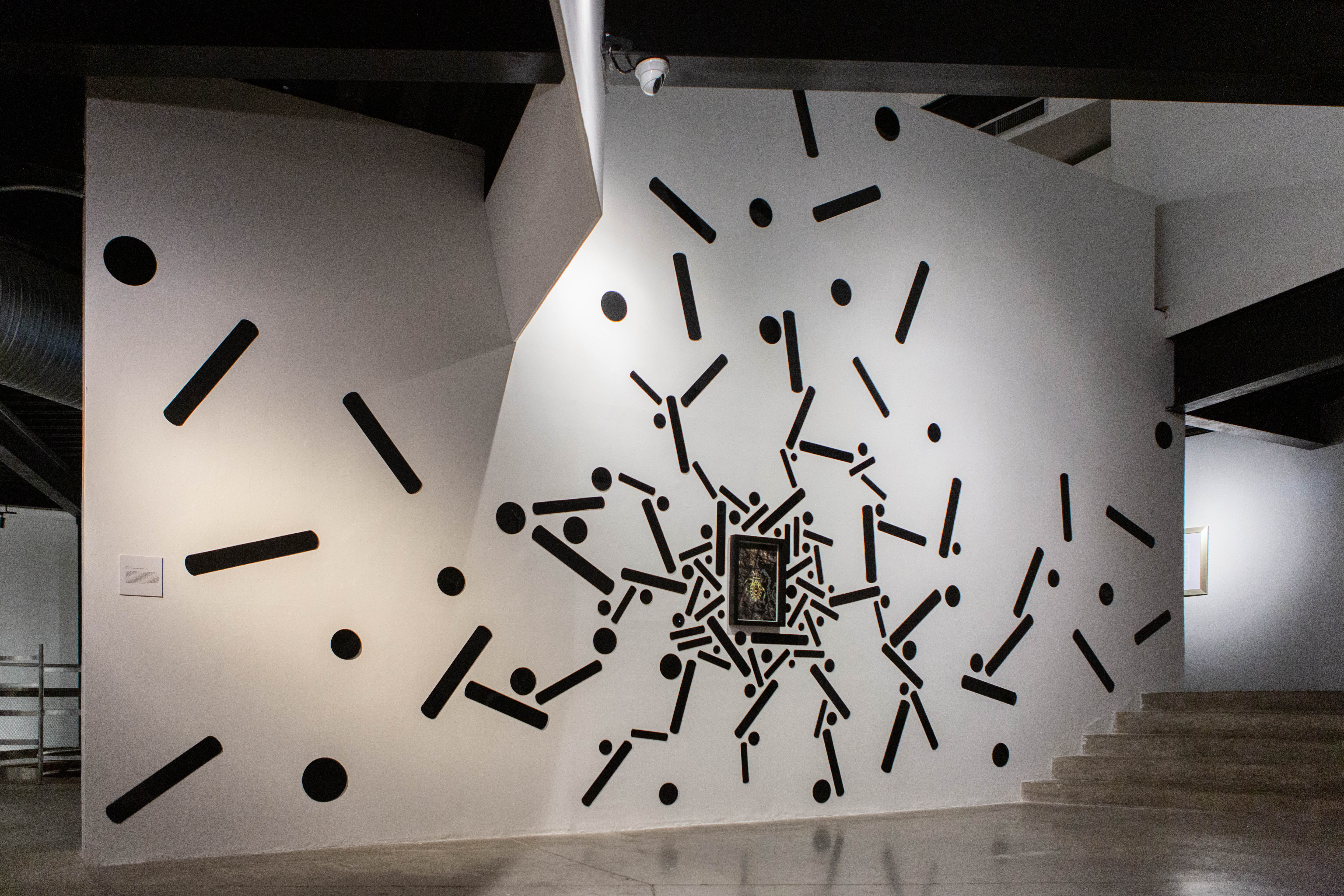 FLOW | DOMO Museo, exhibition photograph 5
