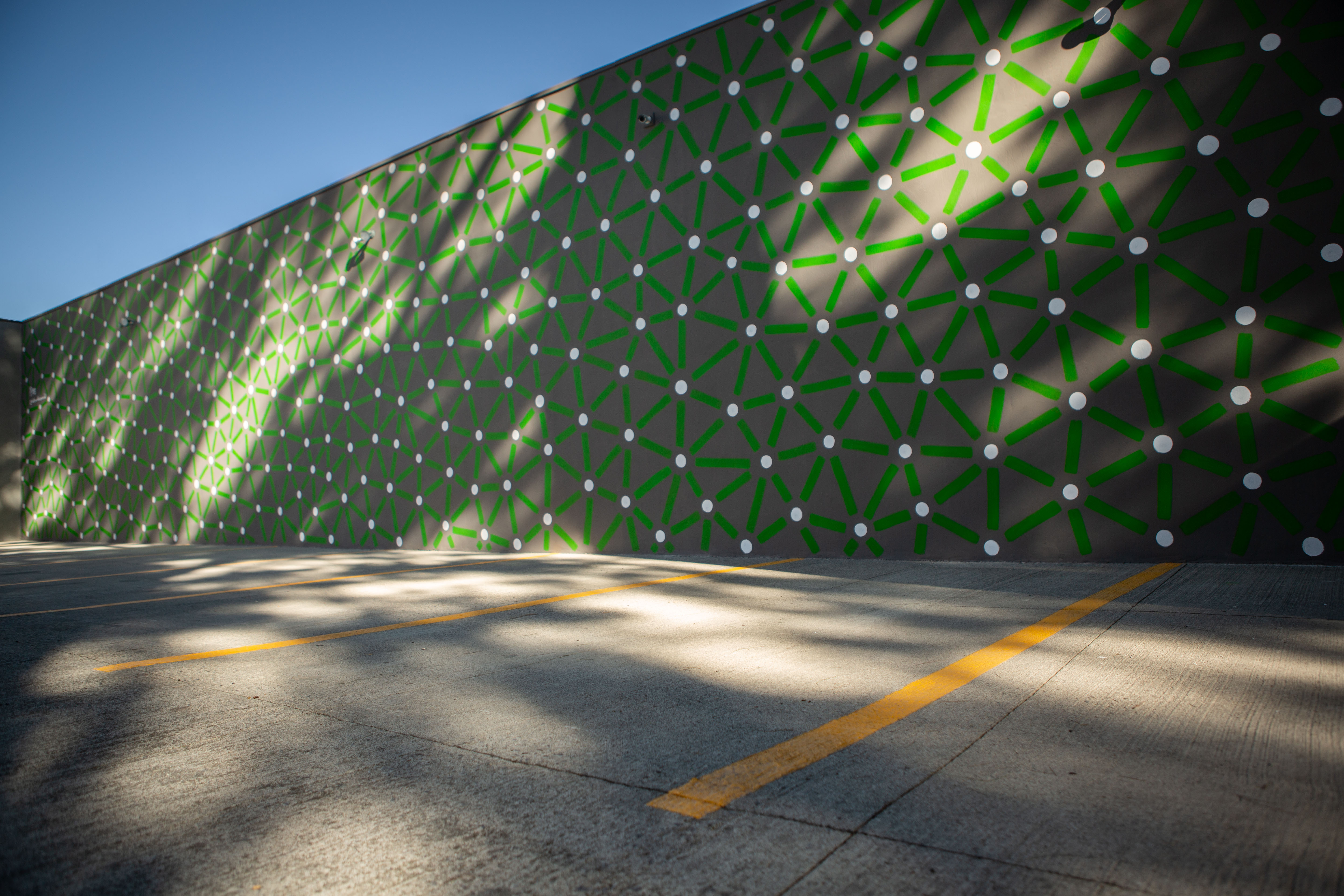 Roots: Green connecting lines and pale dots cover a long gray courtyard wall in sunlight.