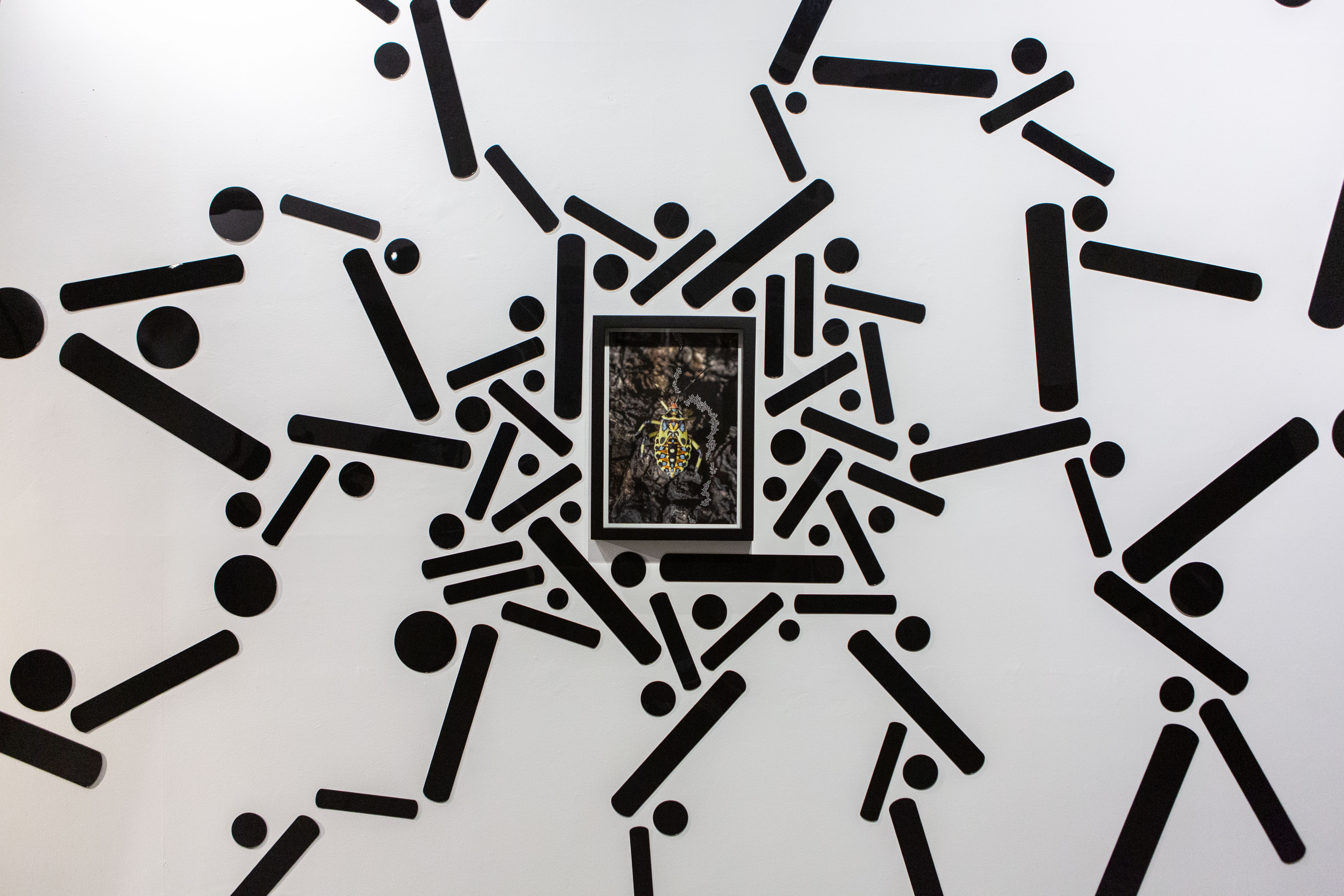 FLOW | DOMO Museo, exhibition photograph 6