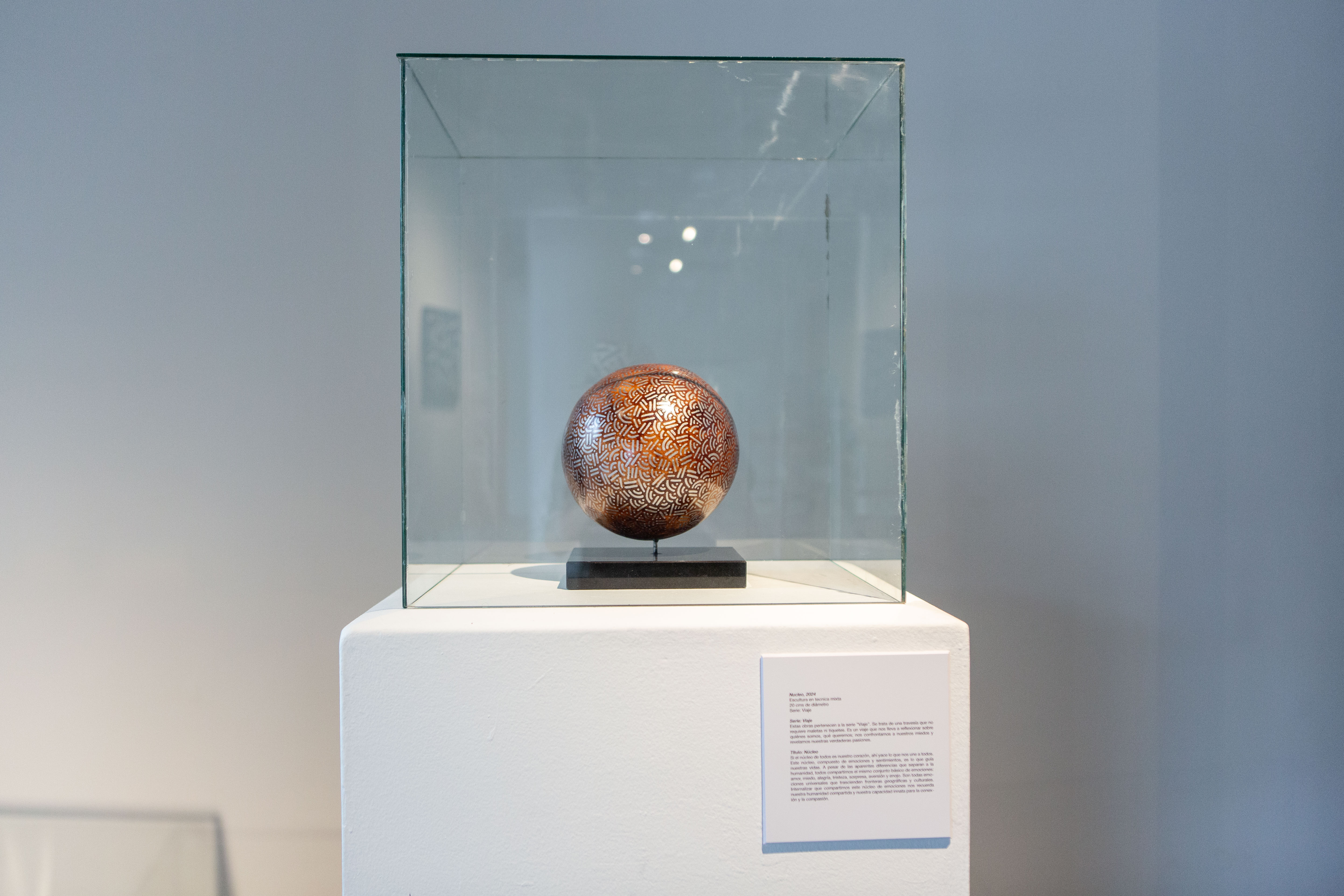 FLOW | DOMO Museo, exhibition photograph 42