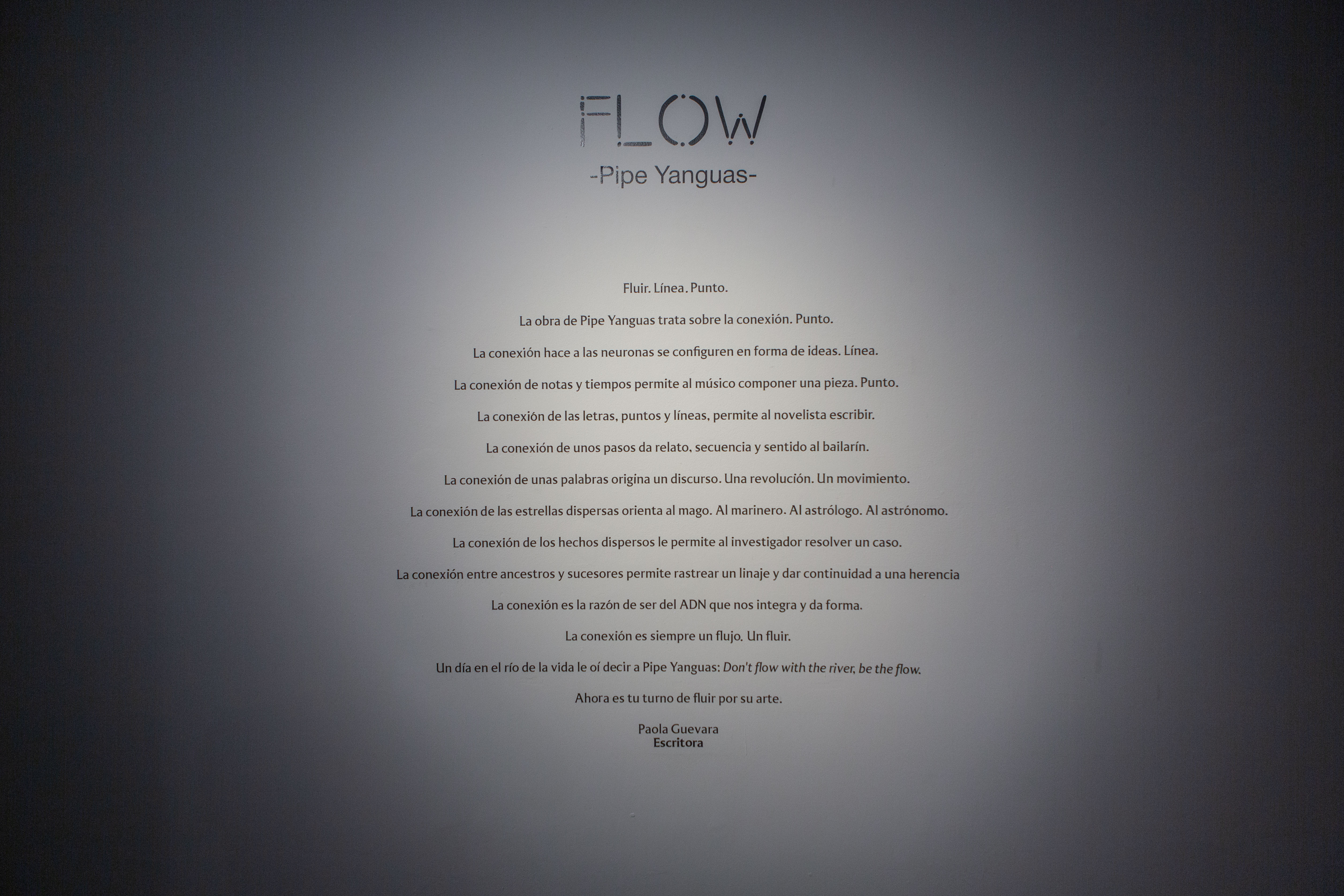 FLOW | DOMO Museo, exhibition photograph 10