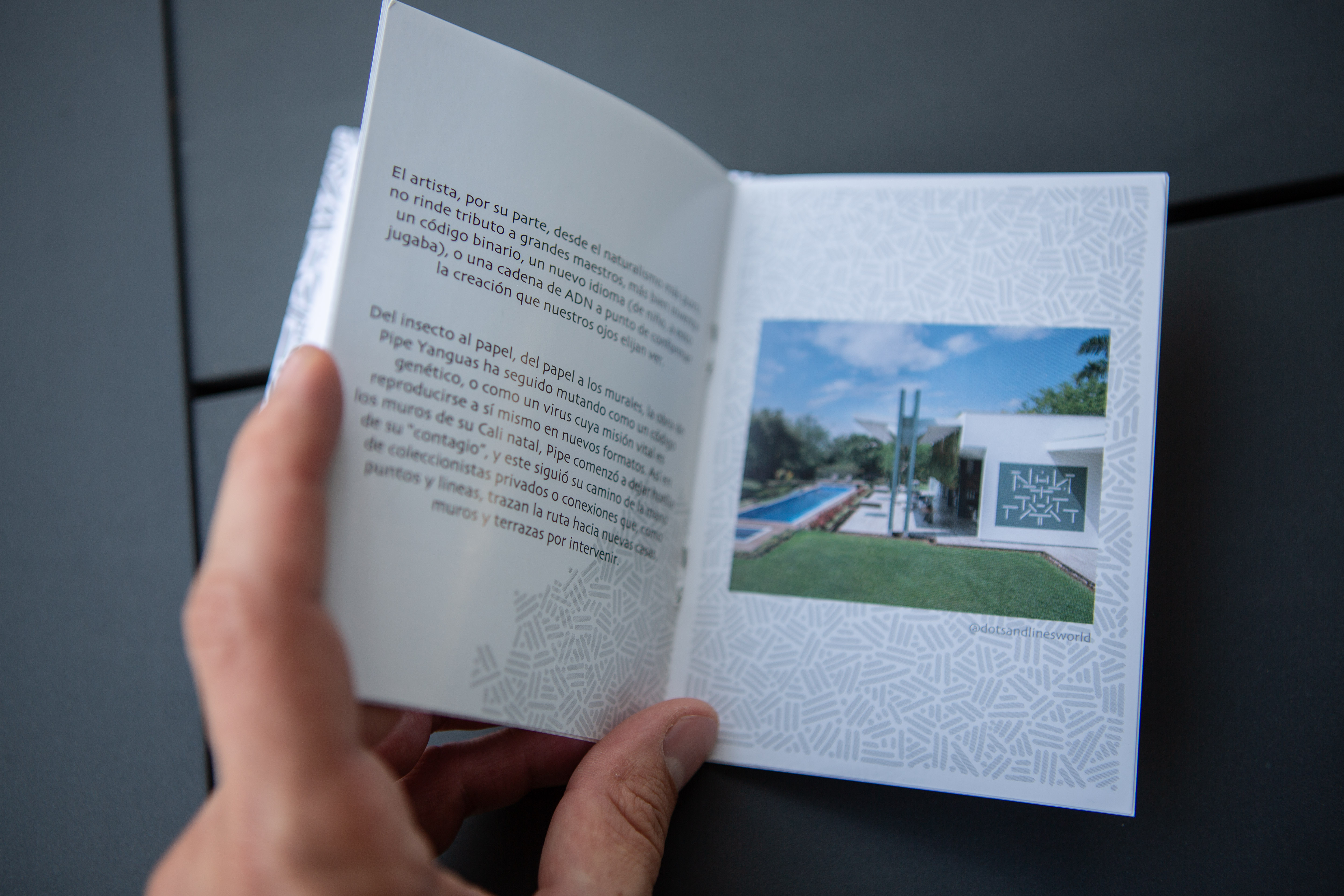 Casa D Fiori × P!PE, collaboration photograph 6