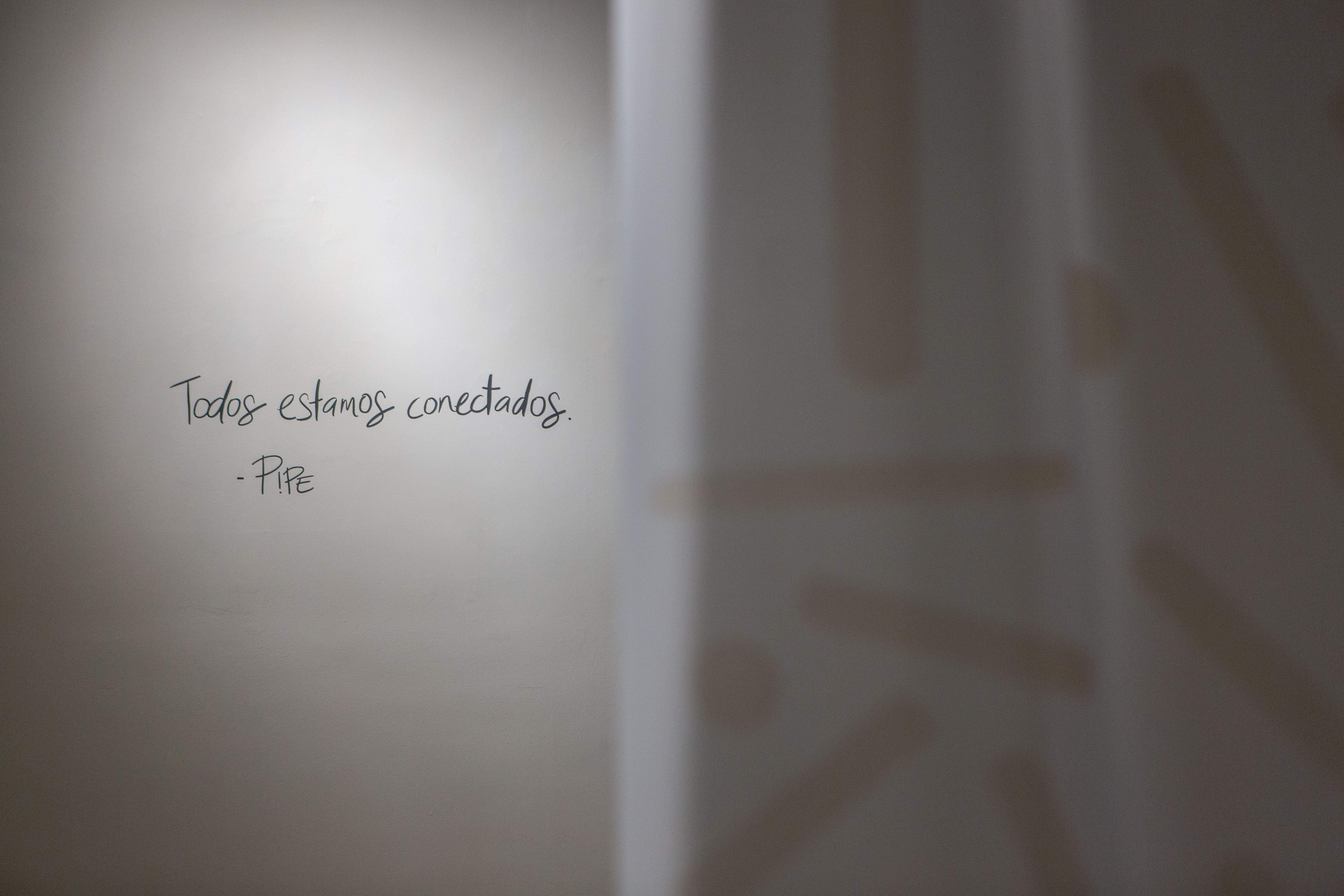 FLOW | DOMO Museo, exhibition photograph 23