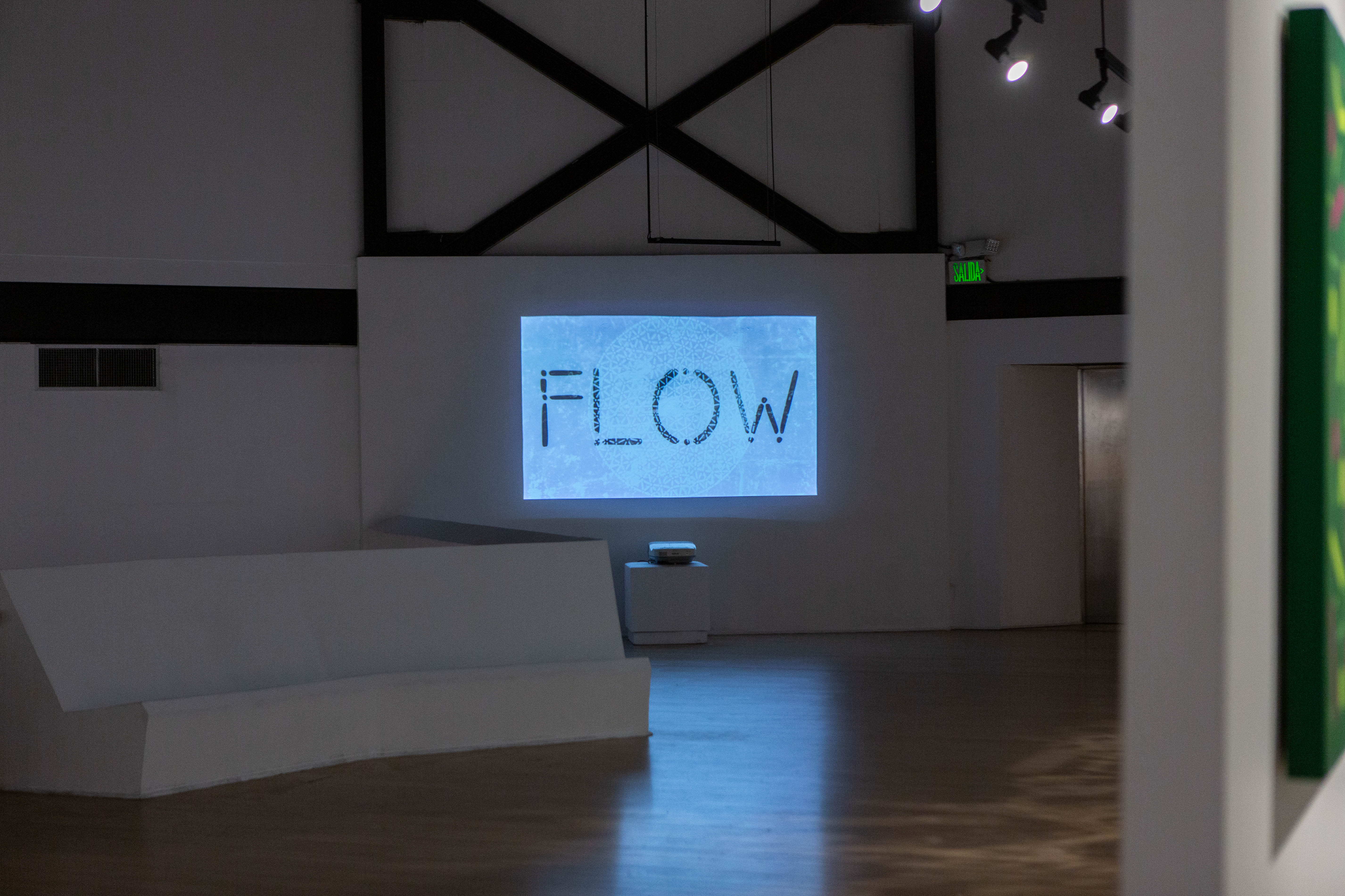 FLOW | DOMO Museo, exhibition photograph 27