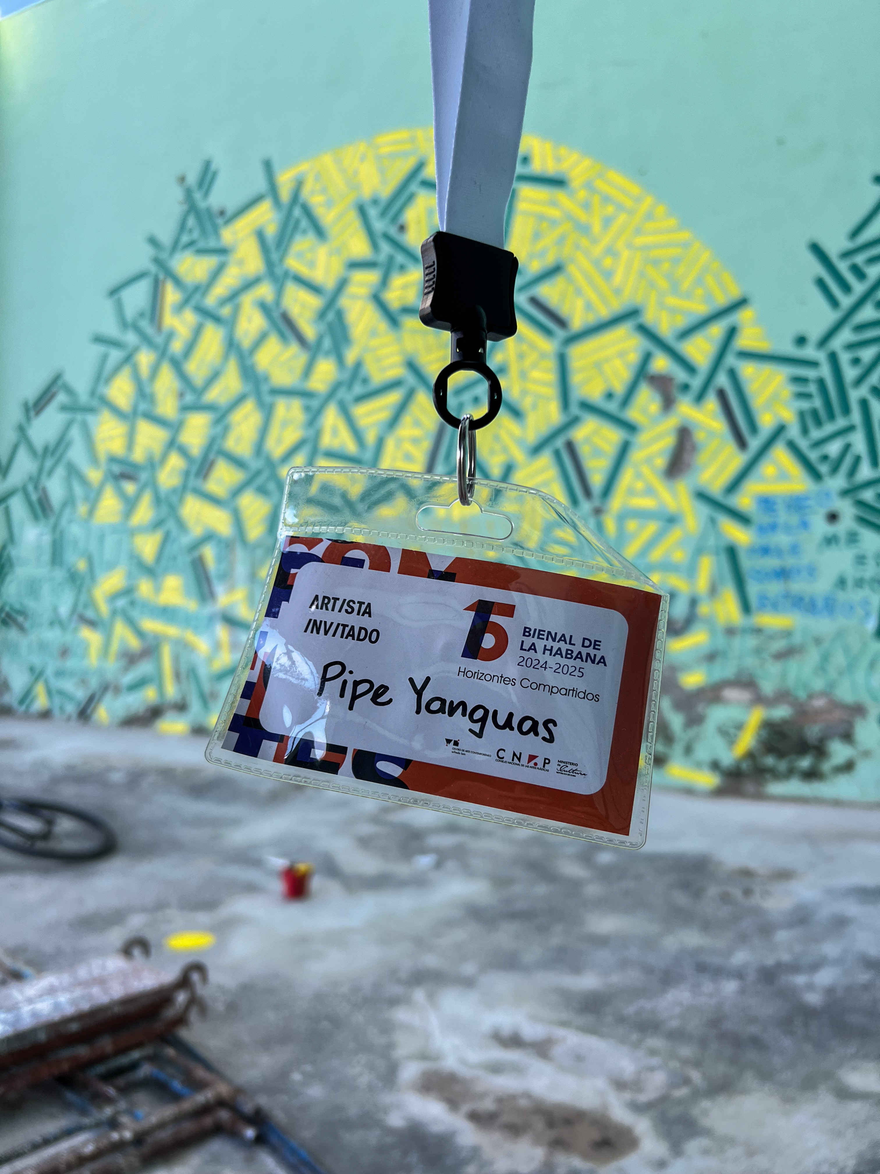 15th Havana Biennial, exhibition photograph 6