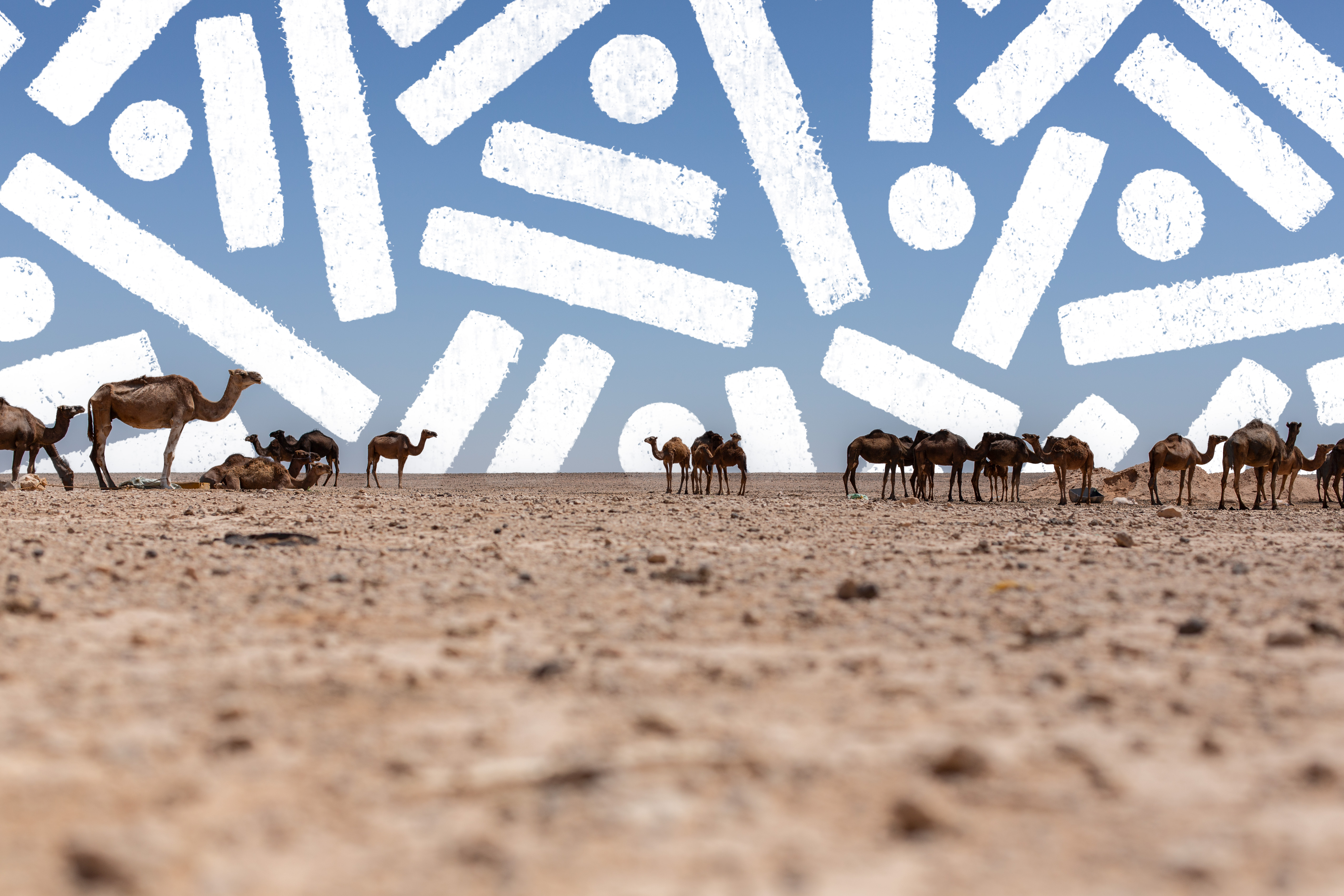 “Keepers of the Desert” by Pipe Yanguas, showing a group of camels crossing a sandy Egyptian desert beneath a blue sky filled with large white geometric dots and lines.